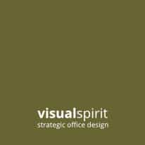 visual-spirit-logo