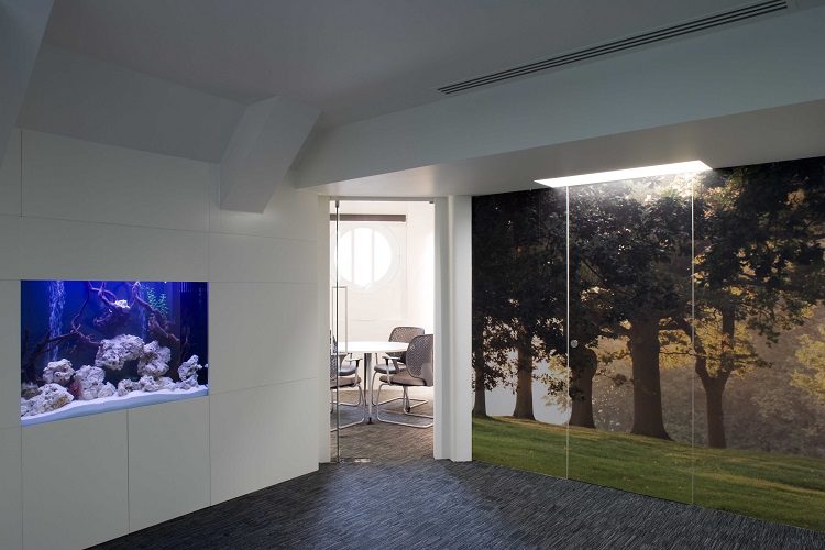 wellbeing in the office