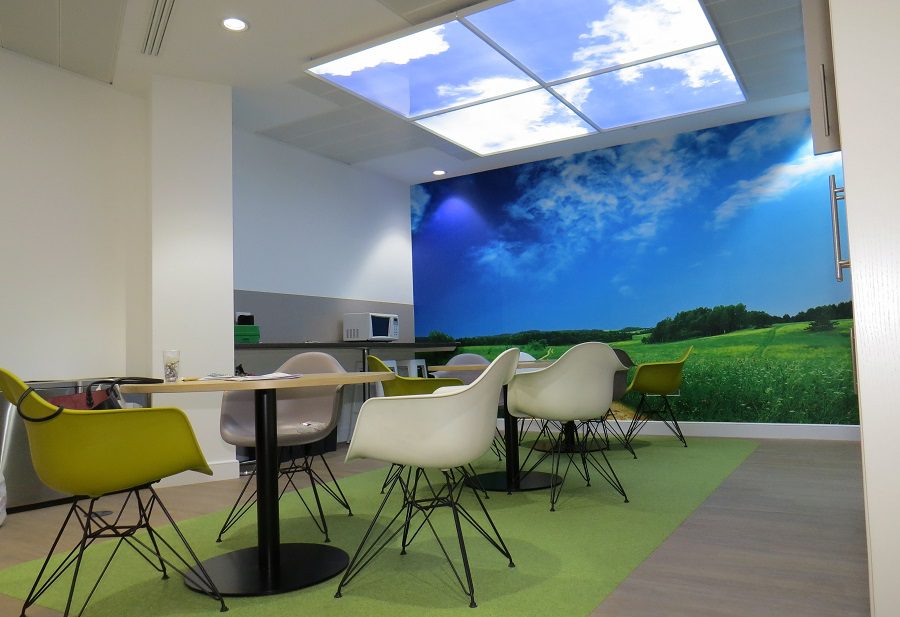 Office Design Basics | Fusion Office Design