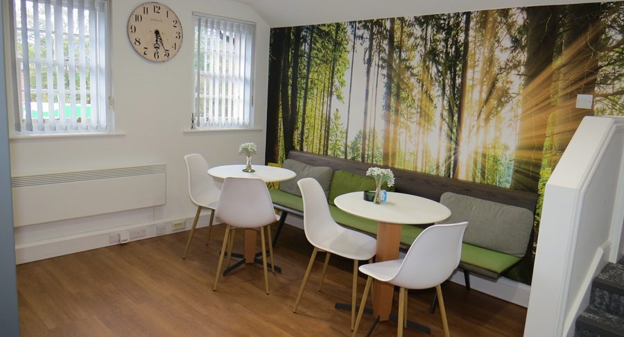 Nature-inspired feature wall in kitchen office