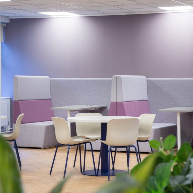 Office breakout space using booths and dining table and chairs, with green house plant feature