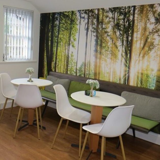 Kitchen with nature inspired feature wall