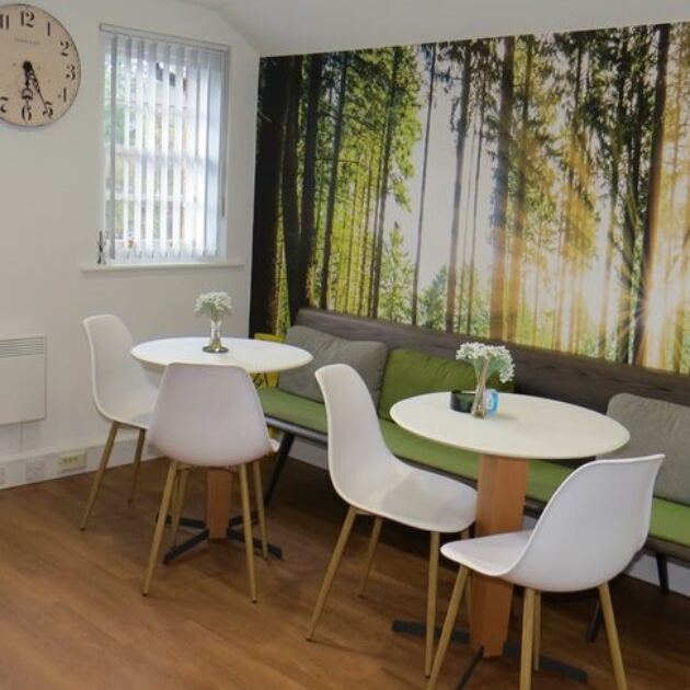 Kitchen with nature inspired feature wall
