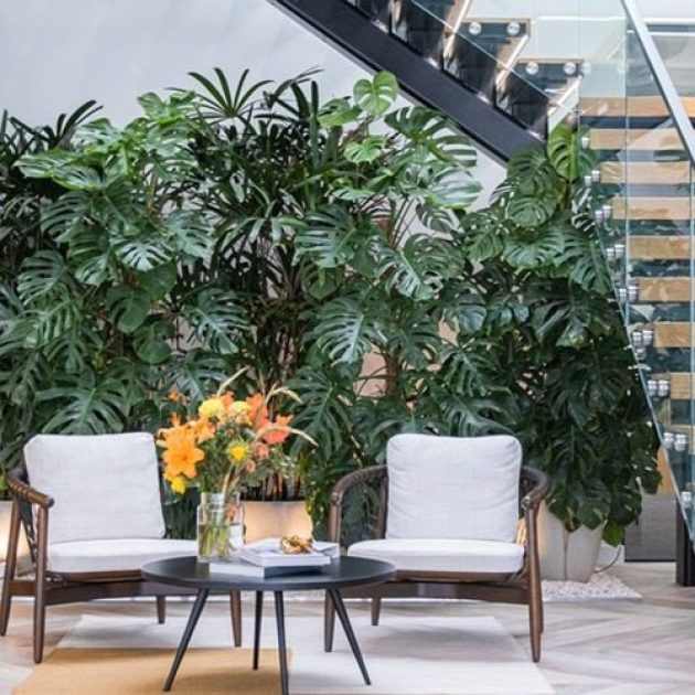 Venture X White City